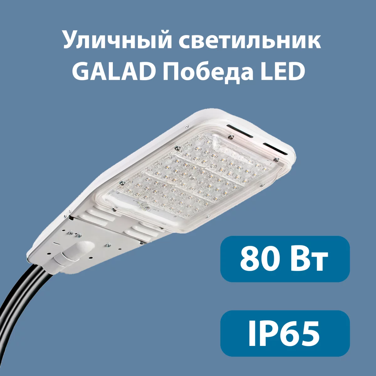 Уличный светодиодный светильник GALAD Победа LED-80-К/К50 купить в  Красноярске – «Описвет»